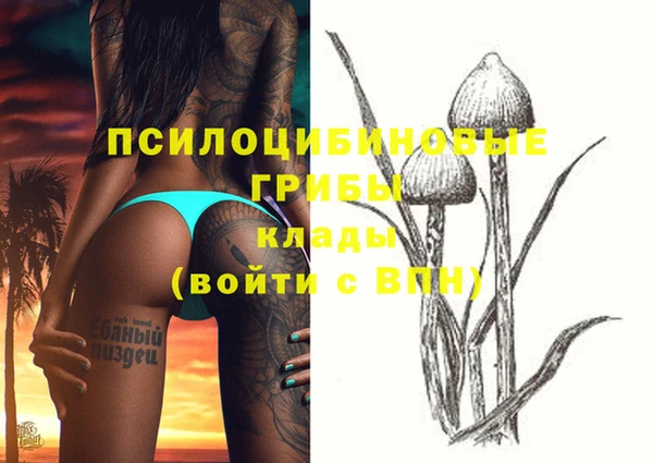 спиды Володарск