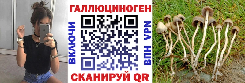 Псилоцибиновые грибы GOLDEN TEACHER kraken ссылки Пестово где продают