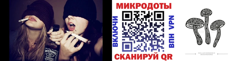Псилоцибиновые грибы Psilocybe Пестово